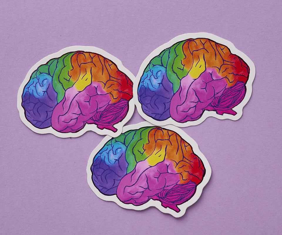 'Rainbow Brain' Sticker